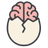 Incubrain Logo
